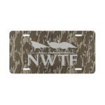 5085076519409626510 2048.jpeg