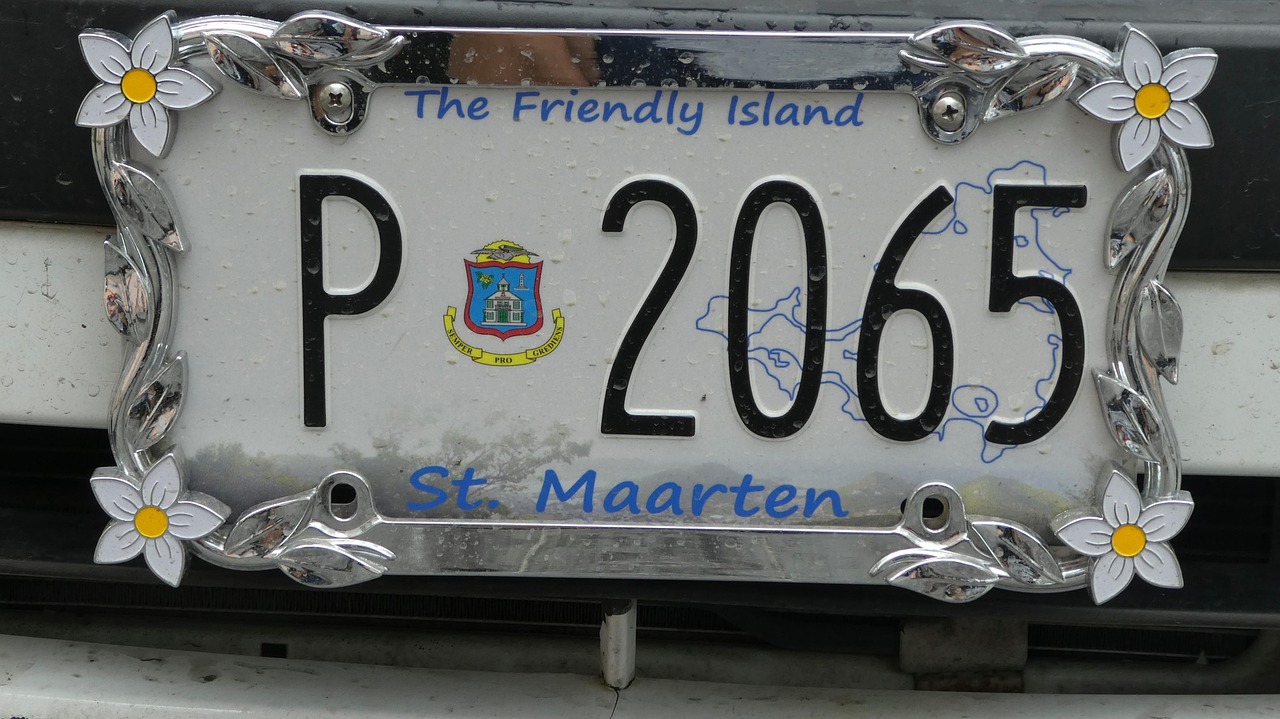 Custom Camo License Plates Personalize Your Truck or Car with INKd