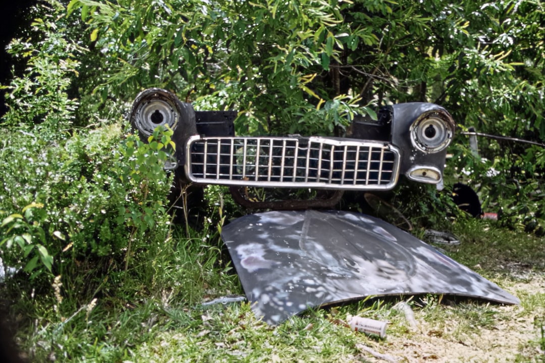 The Ultimate Guide to Custom Camo License Vanity Plates for Trucks and Cars